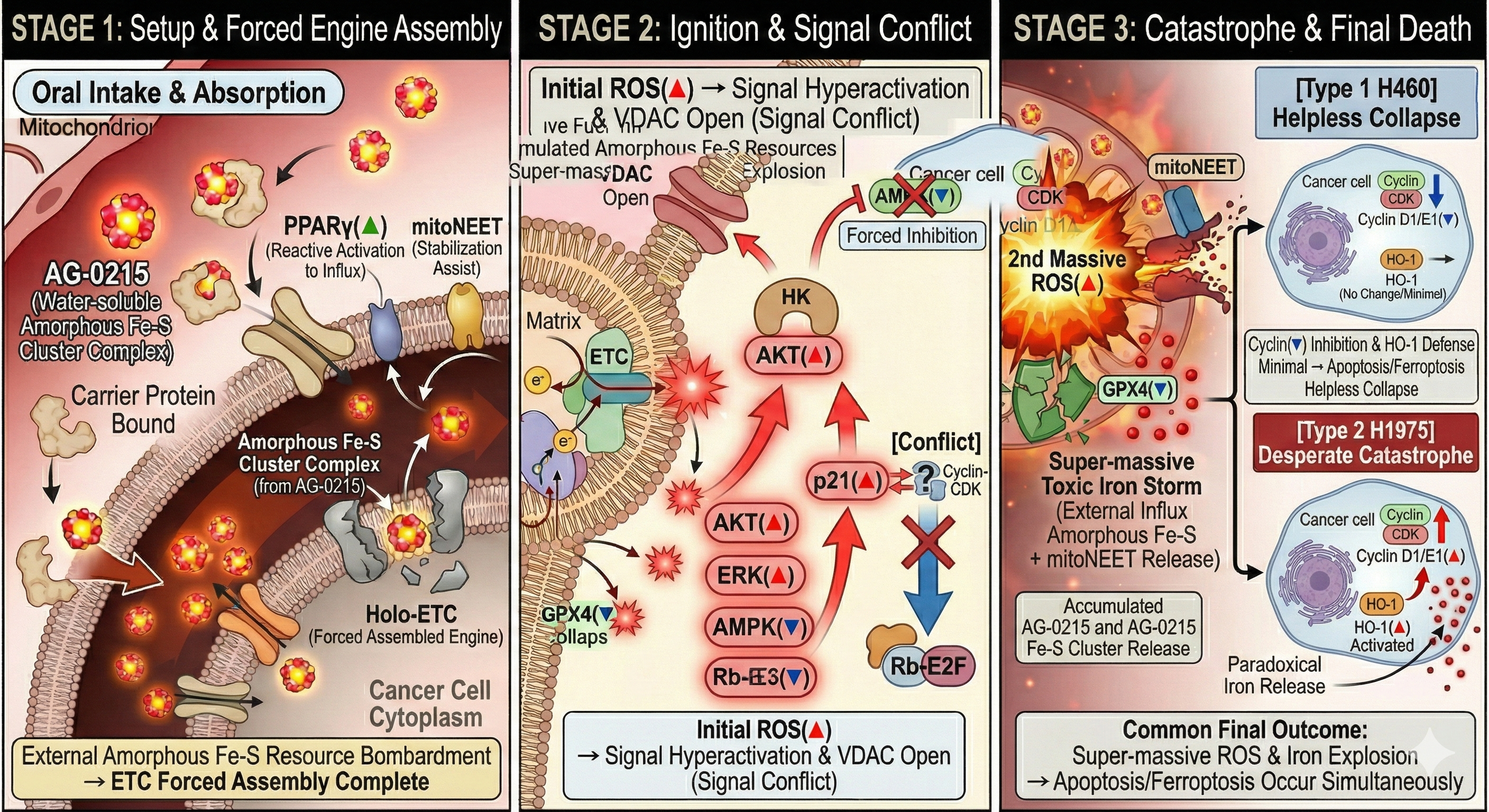 AG-0215 Technical Data 3