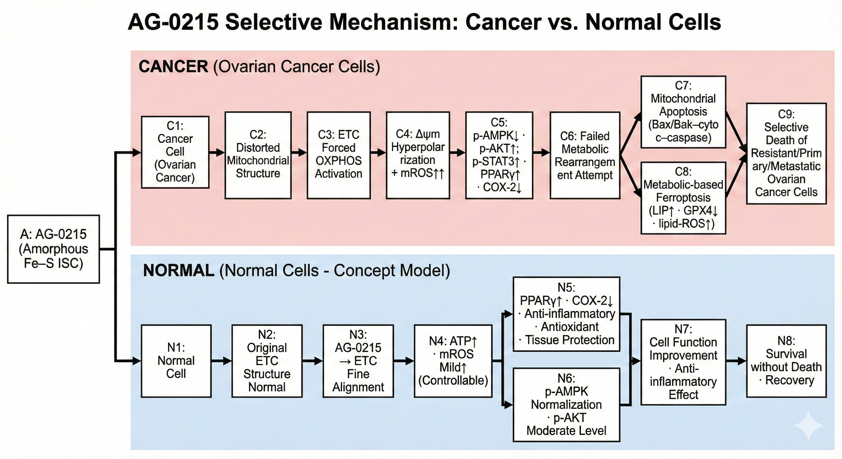AG-0215 Dual-Action Selectivity
